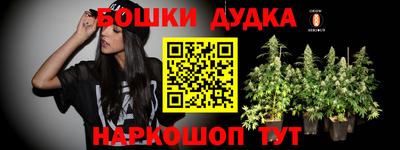 прущие грибы Краснокаменск
