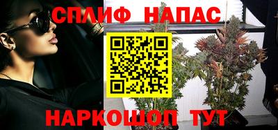прущие грибы Краснокаменск