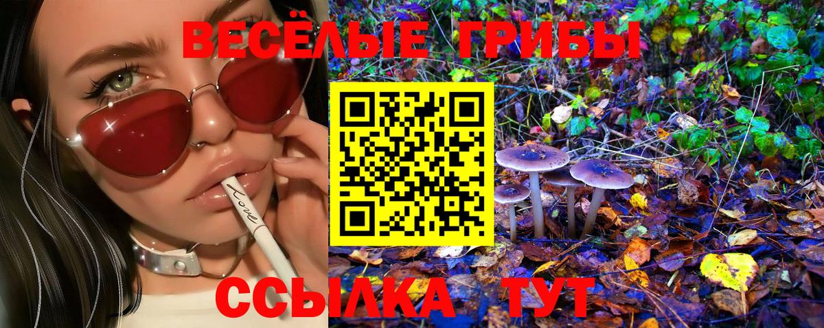 Псилоцибиновые грибы GOLDEN TEACHER  Псилоцибиновые грибы прущие грибы  Клин  Вход с VPN 